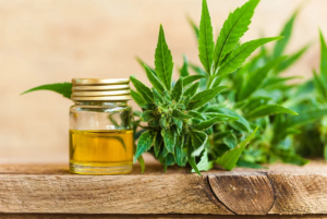 Top Methods and Types One Should Know About CBD
