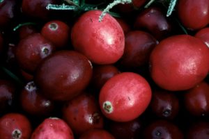 How to buy cranberry pills online?